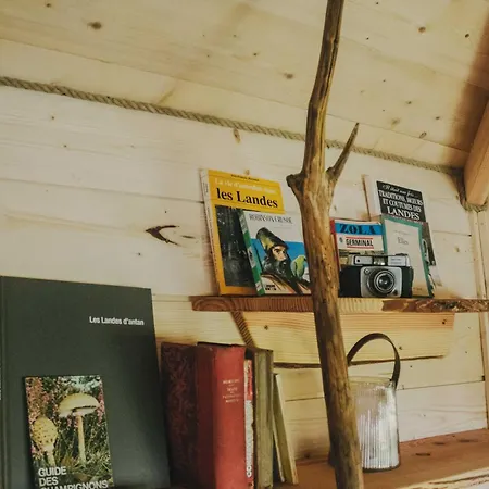 La Cabanoun, Perchee Vue