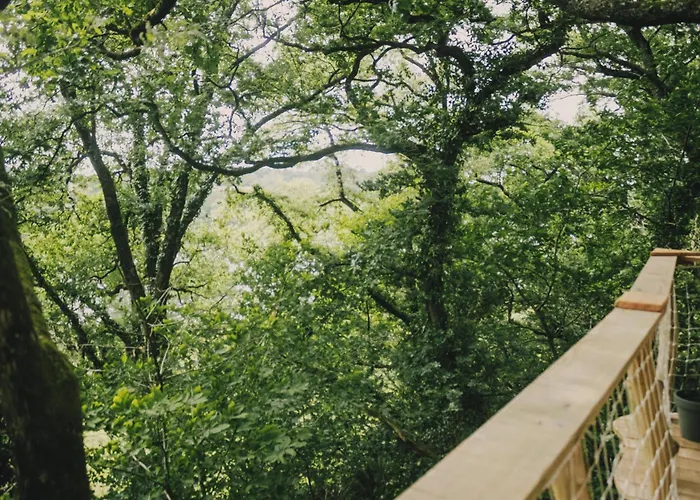 La Cabanoun, Perchee Vue אוהל מפואר *